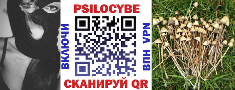 hydra зеркало  нарко площадка официальный сайт  Псилоцибиновые грибы Cubensis  Дудинка 